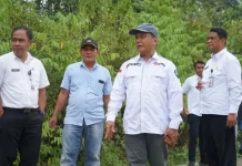 Wabup Cek JUT Sajau, Kualitas Jadi Sorotan