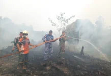 Lahan Terbakar Capai 80 Hektare, Petani Diimbau Buat Tampungan Air Mandiri