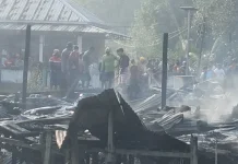 8 Bangunan di Karang Rejo Dilahap si Jago Merah