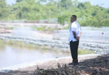 Kebun Raya Bundayati Didorong Jadi Pusat Konservasi, Pendidikan dan Wisata