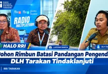Halo RRI: Pohon Rimbun Batasi Pandangan Pengendara, DLH Tarakan Tindaklanjuti