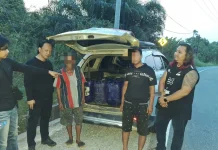 Bawa 17 Jeriken Pertalite ke Berau, Dua Terduga Pengetap Diamankan