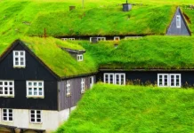 Rumah dengan Atap Rumput Punya Keunikan