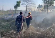 Minim Curah Hujan, Delapan Hektare Lahan di Tarakan Terbakar dan Ancam Pemukiman