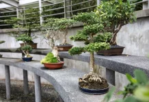 Manfaatkan Pekarangan Rumah, Masyarakat Diminta Bercocok Tanam