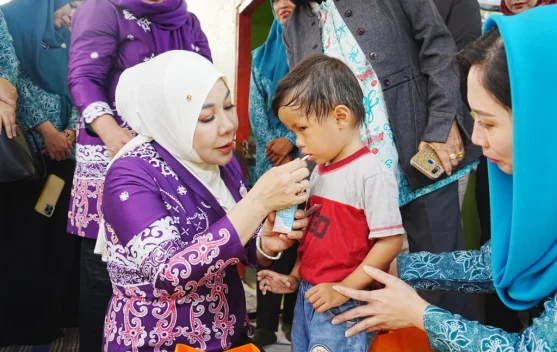 Dorong Zero Stunting, PKK Kaltara Tekankan Peran Aktif Posyandu di Nunukan