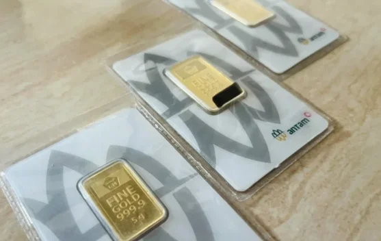 Kredit Investasi di Kaltara Melejit 168%, DPK Kontraksi 2,13%