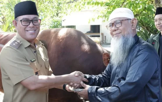 Pemkot Salurkan 8 Sapi, 1 Ekor Bantuan Presiden