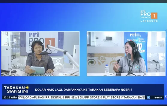 Akademisi Kaltara Akui Dampak Kenaikan Dolar Tidak Besar