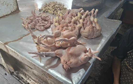 Pembeli Sepi, Harga Ayam Stabil di Tarakan