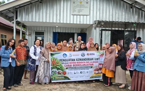 Tim PKM Bima Faperta UBT Dukung Kemandirian KWT Agribisnis Cabai di Tarakan