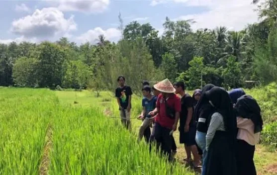 Generasi Muda Didorong Kelola Sektor Pertanian