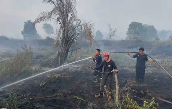 Dishut Kaltara Ingatkan Masyarakat Bahaya Karhutla