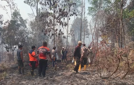 Kualitas Udara Masih Sedang, DLH Tarakan Imbau Warga Pakai Masker