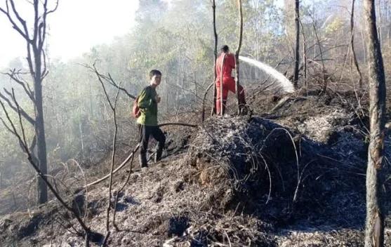 Pemukiman Warga di Tarakan Aman dari Karhutla