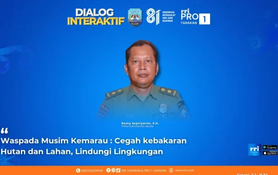Polhut Tarakan Tegaskan Sanksi Hukum Bagi Pelaku Pembakaran Lahan