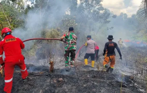 Panas Berkepanjangan, Waspada Titik Hotspot Baru