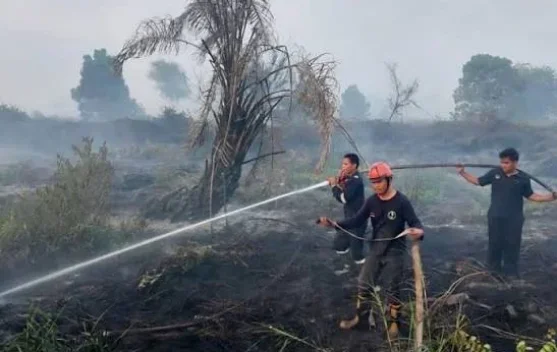Cuaca Panas, Ancaman Karhutla Masih Berlanjut