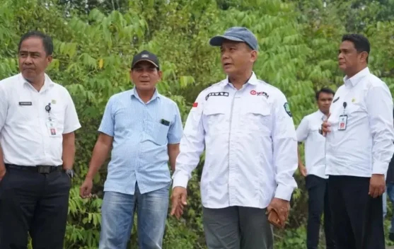 Wabup Cek JUT Sajau, Kualitas Jadi Sorotan