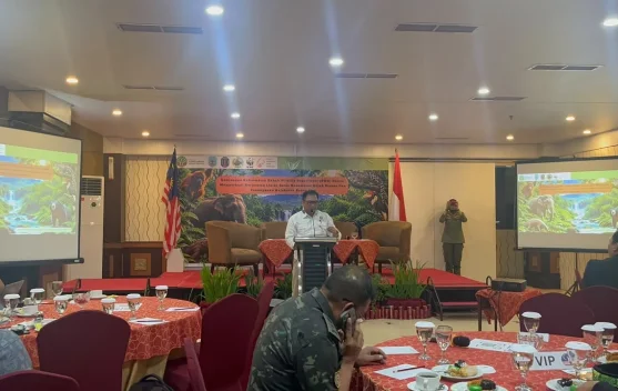 Kolaborasi Indonesia-Malaysia Diperkuat untuk Lindungi Satwa Liar Borneo