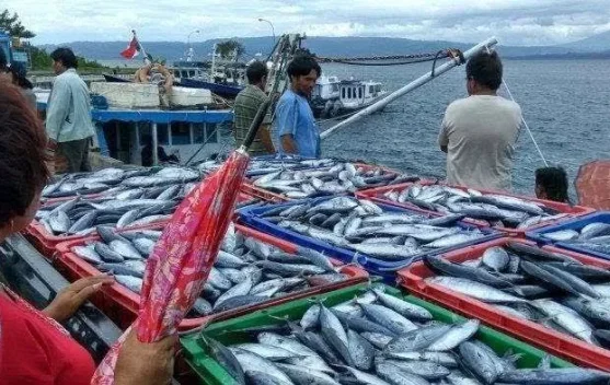 Tren Positif Perekonomian Tarakan, Didominasi Sektor Perikanan