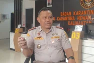 Karantina Kaltara Perkuat Pos Pengawasan di Perbatasan