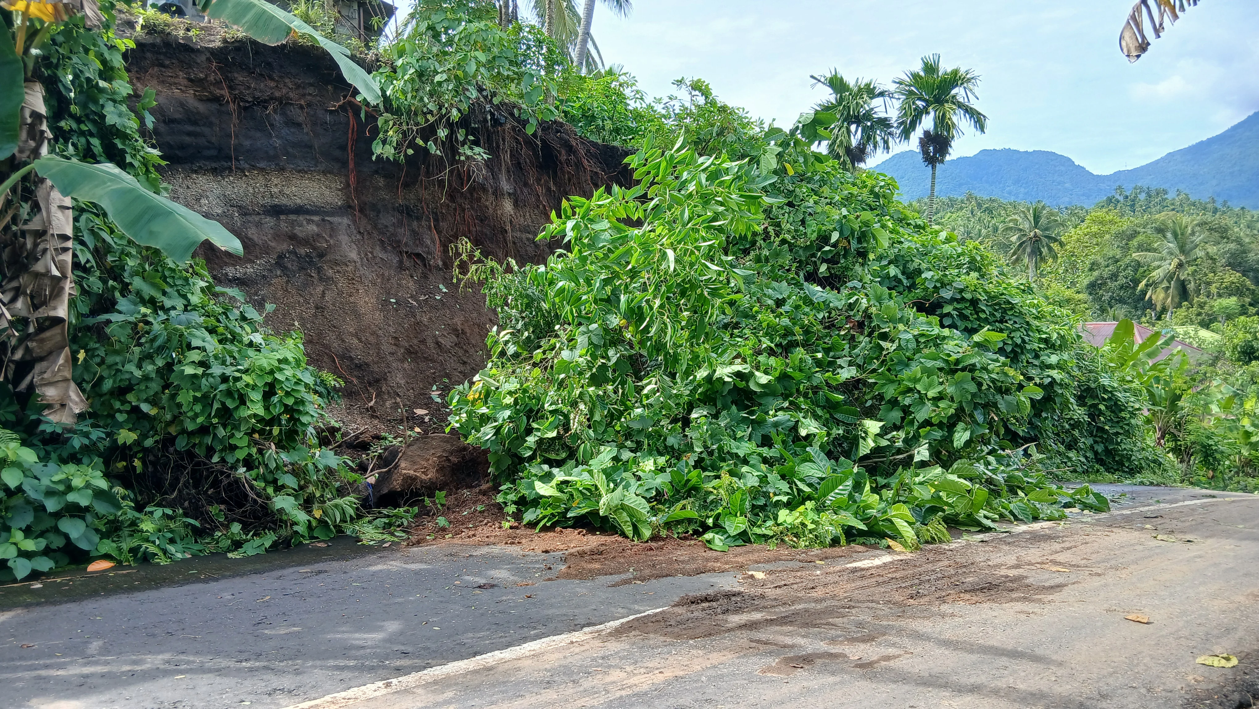 Longsor di Perbatasan Kelurahan Tidore, Puluhan Rumah Terancam dan Akses Jalan Putus Total