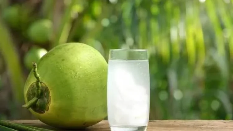 Buka Puasa Sehat dengan Air Kelapa