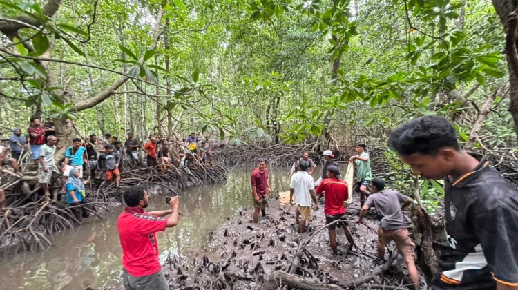 Sempat Hilang, Korban Diterkam Buaya Ditemukan Meninggal