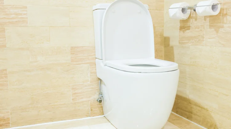 Lebih Sehat mana? Toilet Duduk atau Toilet Jongkok ?