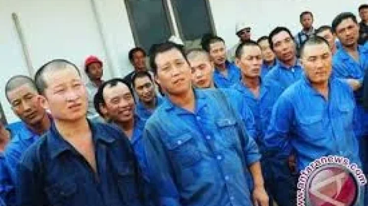 Pertambangan Picu Peningkatan WNA di Maluku Utara