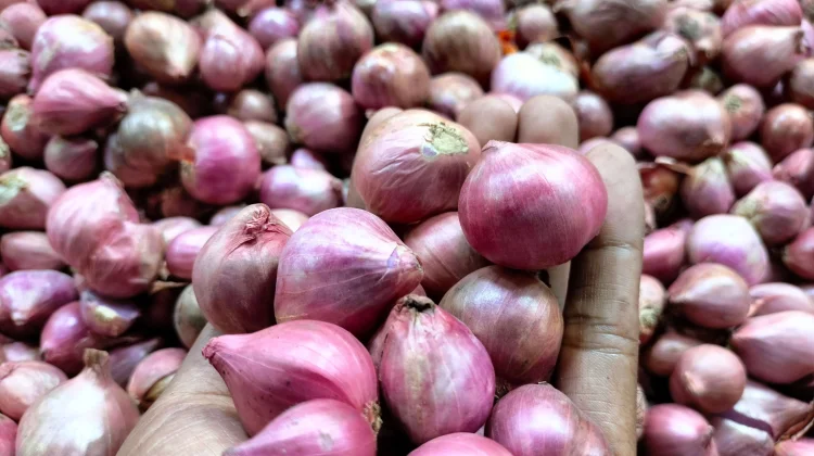Bawang Merah Mengalami Kenaikan Harga di Pasar Tradisional Ternate