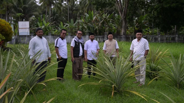Kadikbud Malut Tinjau Program Pangan SMK-Halut yang Mulai Berbuah