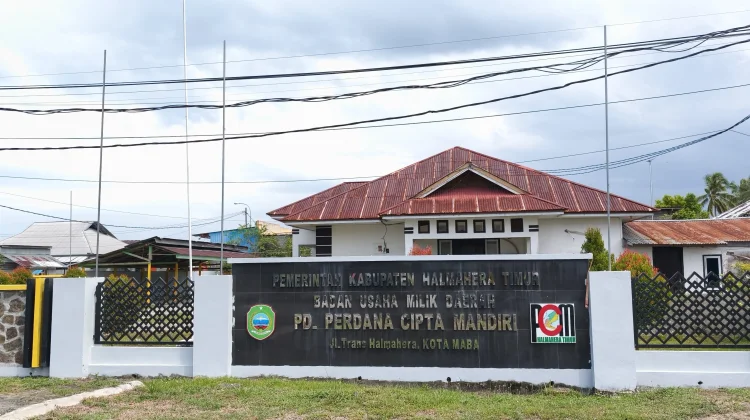 Kemitraan Tambang Dominasi Pendapatan PCM, Target PAD Terus Naik