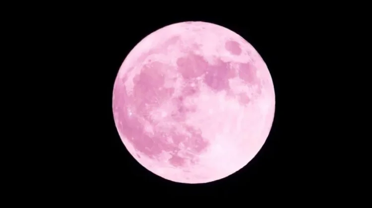 Fenomena Pink Moon Hiasi Langit Awal April 2026, Dapat Disaksikan dari Indonesia