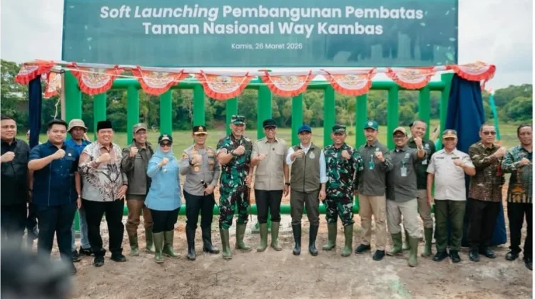 Pemerintah Bangun Pagar Way Kambas, Atasi Konflik Manusia dan Gajah