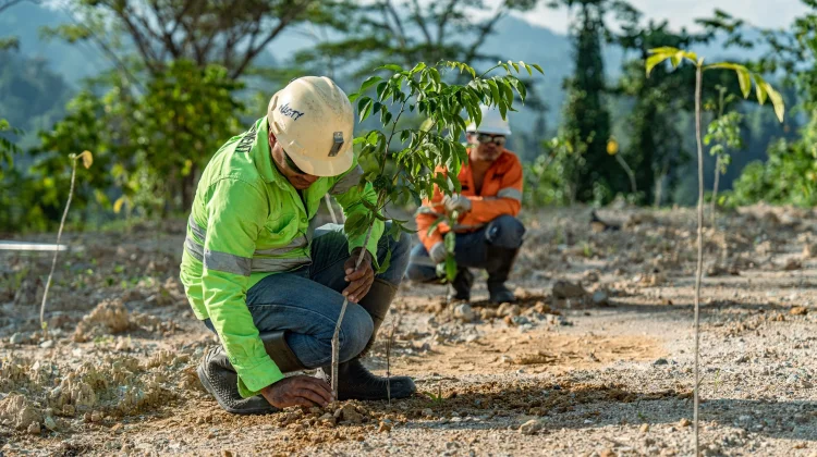 NHM Pulihkan 232 Hektare Lahan Bekas Tambang