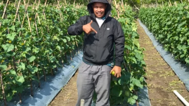 Program TEKAD Kemendes, Dorong Petani Konsumtif ke Produktif