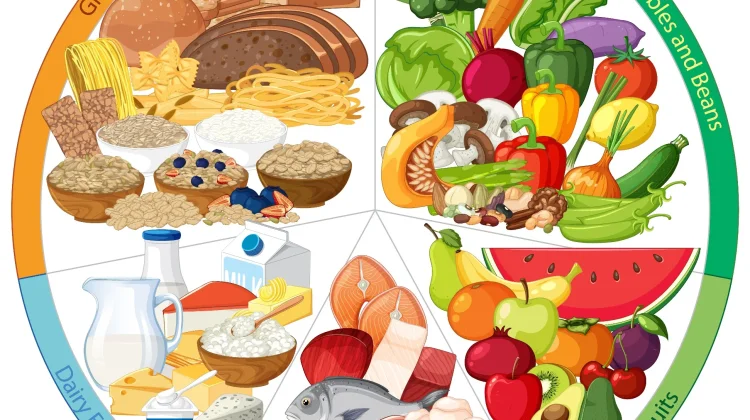 Mengenal Istilah 'Makanan Padat Nutrisi' pada Anak