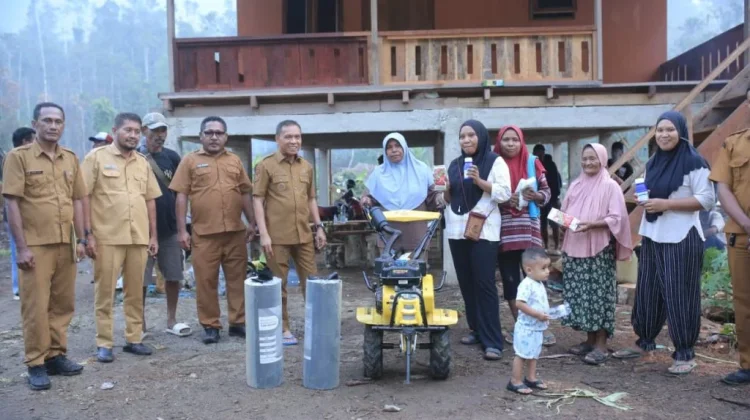 Pemkab Halteng Salurkan Bantuan Pertanian saat Panen Jagung