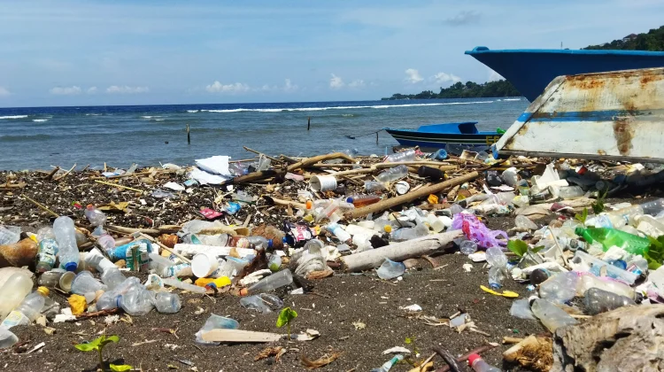 Kolaborasi Regional jadi Kunci Atasi Polusi Plastik di Laut