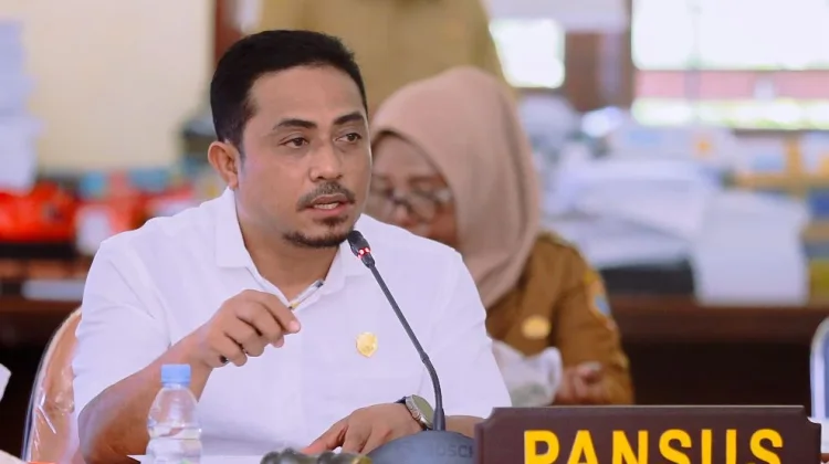 Pansus DPRD Halteng Soroti Empat Catatan Penting LKPJ 2025