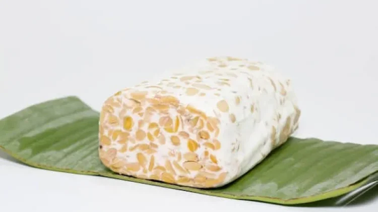 Tempe Jadi Sumber Nutrisi Panjang Umur