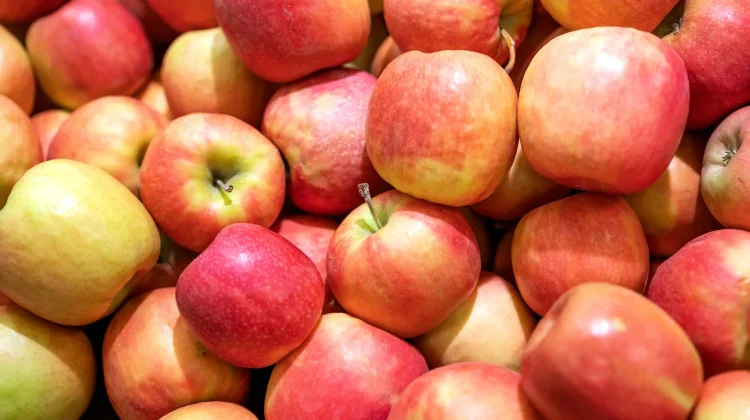 Manfaat Buah Apel bagi Kesehatan Anak