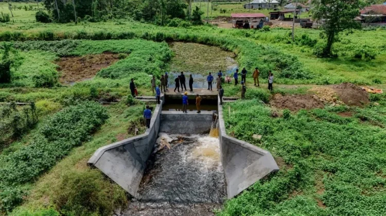 Bupati Halteng gerak cepat pulihkan irigasi terdampak kekeringan