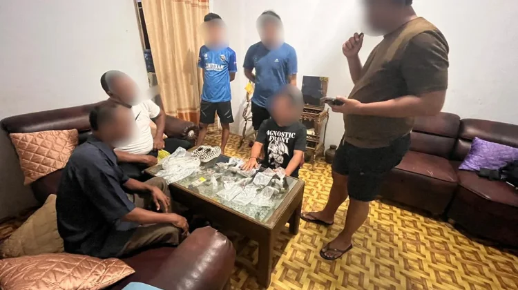 Bawa Ganja Kering, Pemuda di Ternate Diringkus Polda Malut