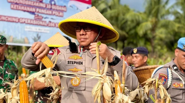 Wakapolda Maluku Utara Hadiri Panen Raya Jagung Serentak