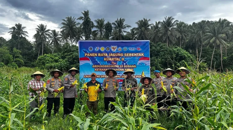 Kapolres Pimpin Panen Raya Jagung di Halmahera Tengah