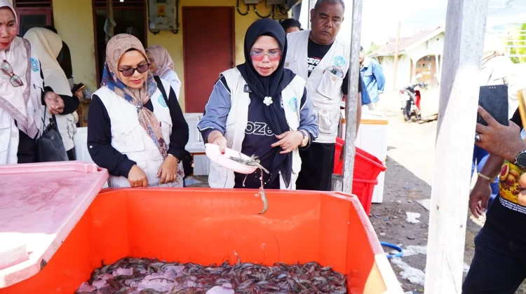 Panen Udang Dowora Tembus 700 Kg, PKK Ambil Peran di Sektor Pemasaran
