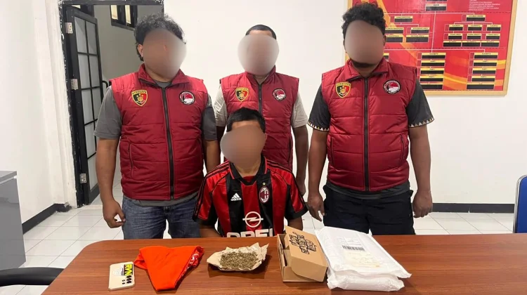 Ditresnarkoba Polda Malut Tangkap Pengedar Ganja di Weda